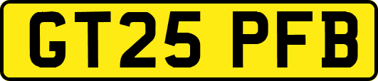 GT25PFB