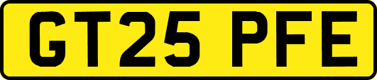 GT25PFE