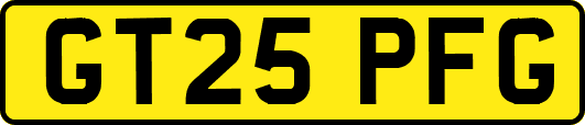 GT25PFG