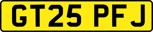 GT25PFJ