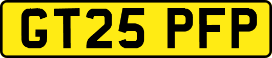 GT25PFP