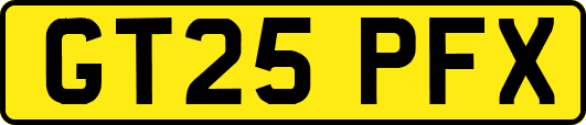 GT25PFX