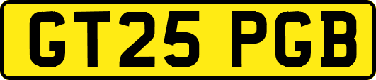 GT25PGB