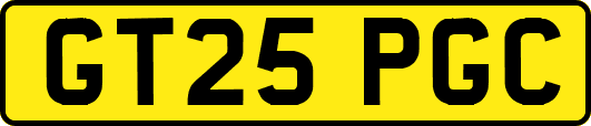 GT25PGC