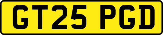 GT25PGD