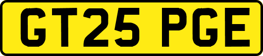 GT25PGE