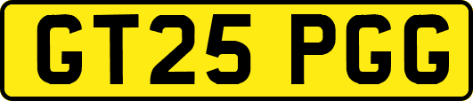 GT25PGG