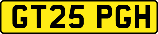 GT25PGH