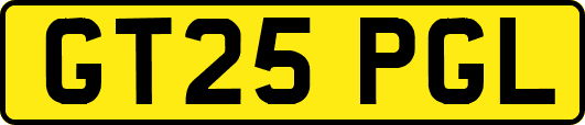 GT25PGL