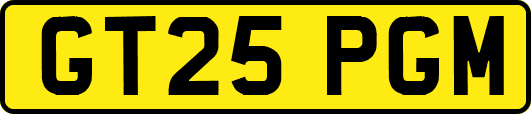 GT25PGM