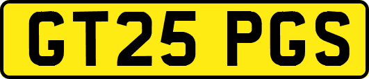 GT25PGS