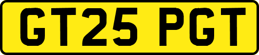 GT25PGT