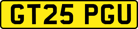 GT25PGU