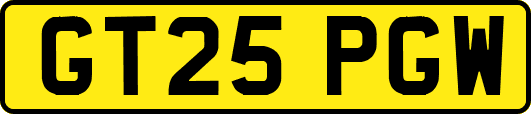 GT25PGW