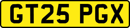 GT25PGX