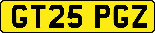 GT25PGZ