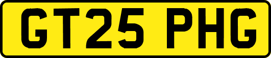 GT25PHG