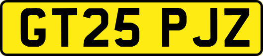 GT25PJZ