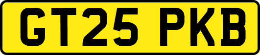 GT25PKB