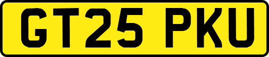 GT25PKU