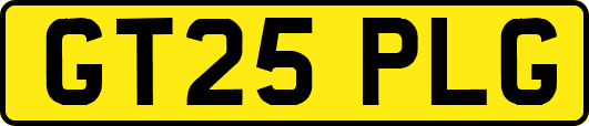 GT25PLG