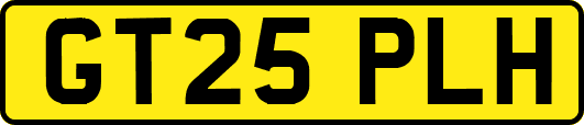 GT25PLH
