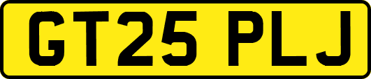 GT25PLJ