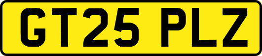 GT25PLZ