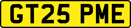 GT25PME