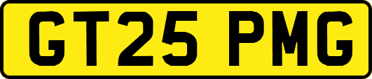 GT25PMG