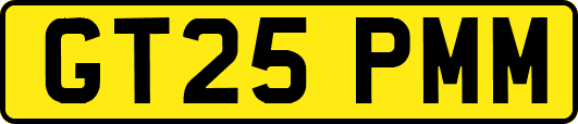 GT25PMM