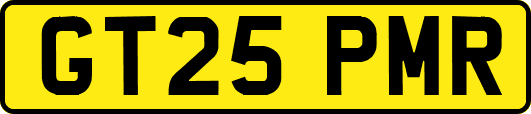 GT25PMR