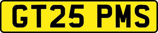GT25PMS