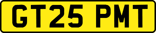 GT25PMT