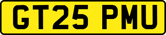 GT25PMU