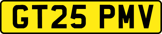 GT25PMV
