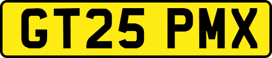 GT25PMX