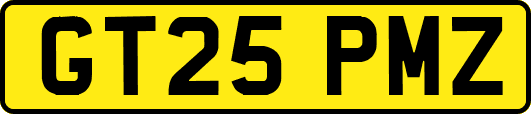 GT25PMZ