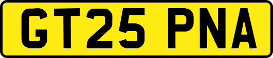 GT25PNA