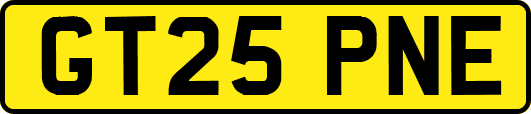 GT25PNE