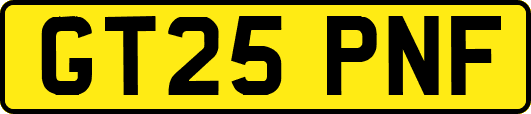 GT25PNF