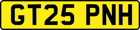 GT25PNH