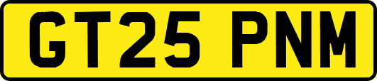 GT25PNM