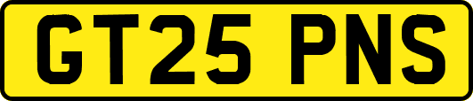 GT25PNS