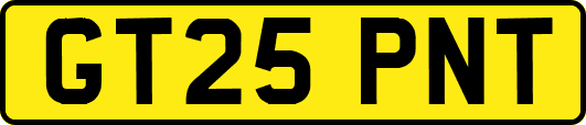 GT25PNT