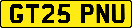 GT25PNU