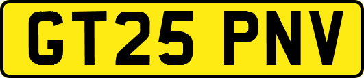 GT25PNV