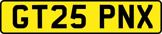 GT25PNX