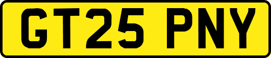 GT25PNY