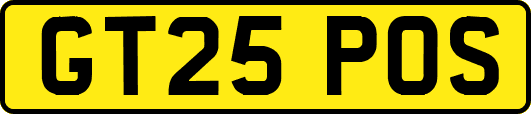 GT25POS